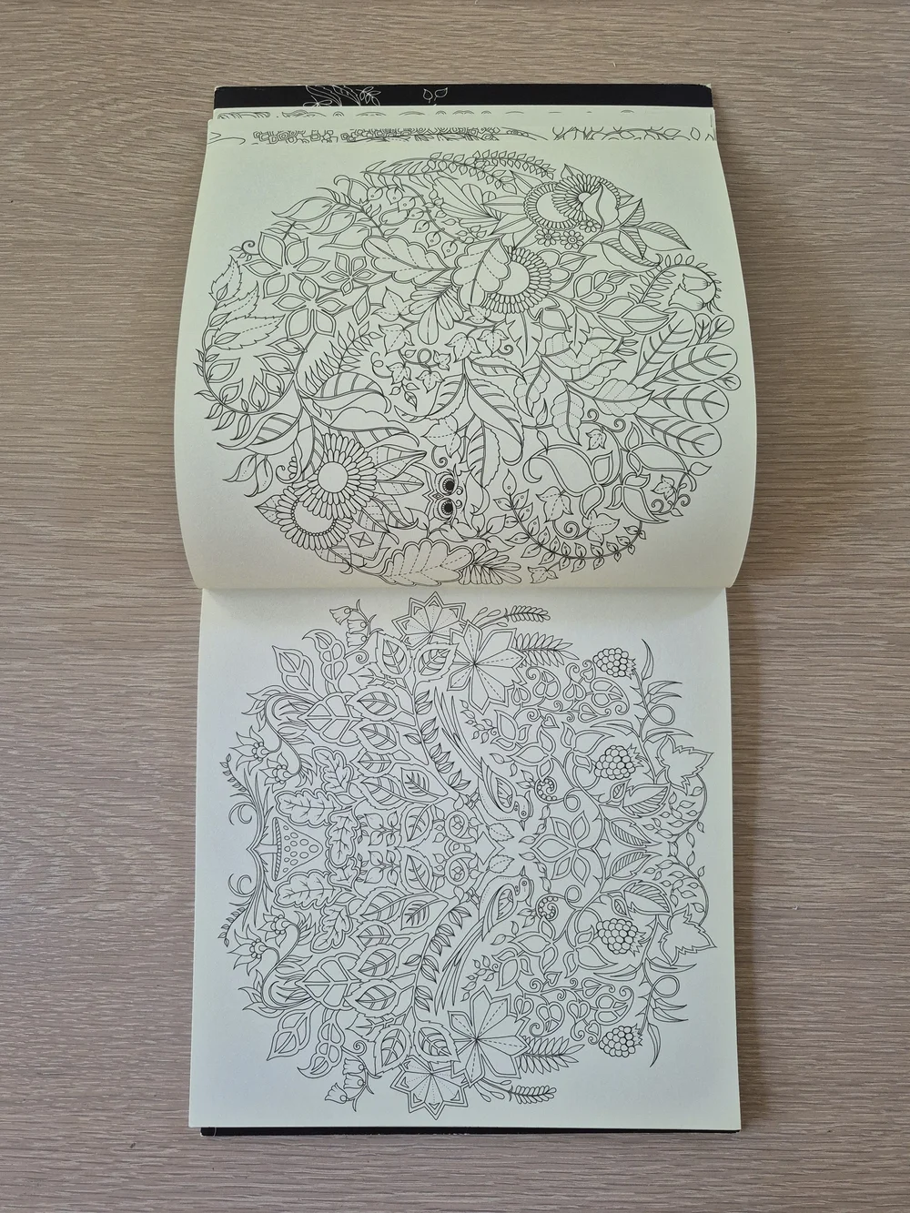 Enchanted Forest Coloring Book by — Cream & Gold